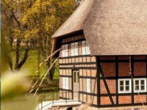 Personal Yoga Berlin - Yoga Retreat - Tollensesee - Reetdach Haus